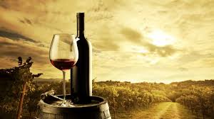 Explore the health benefits of wine