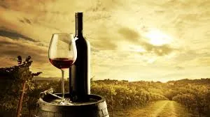 Explore the health benefits of wine