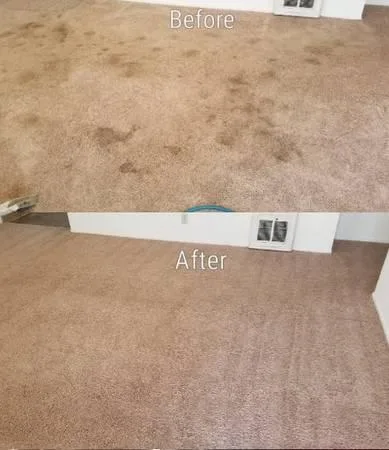 TRUCK MOUNT CARPET CLEANING