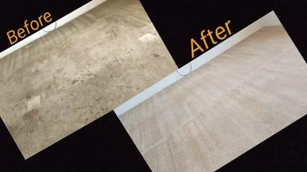 Trusted carpet cleaning service