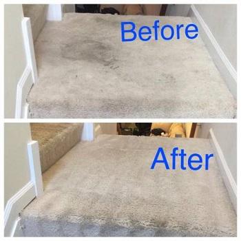 Carpet and upholstery cleaning