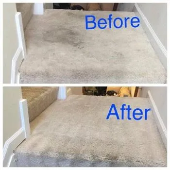 Carpet and upholstery cleaning