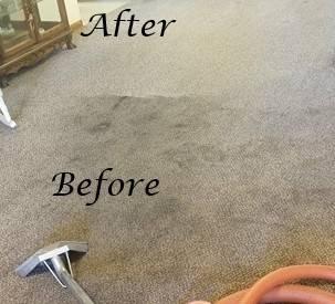 AFFORDABLE PROFESSIONAL TRUCKMOUNT CARPET CLEANING