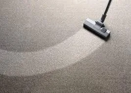 Pro s Carpet Cleaning Specials 59 steam Steam Carpet Cleaning 59