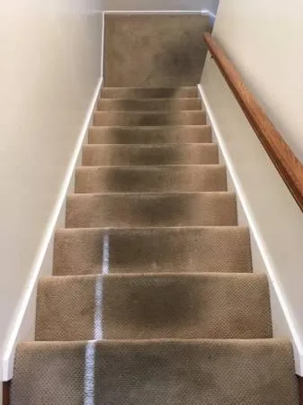 DEEP CARPETandUPHOLSTERY CLEANING SERVICE