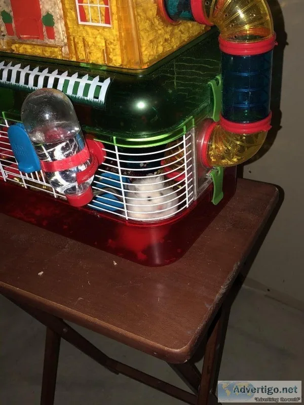 Hamster
