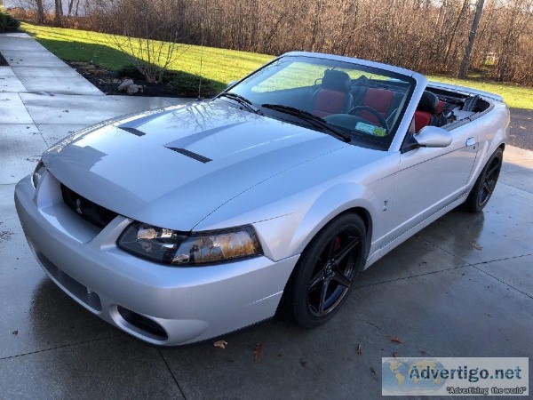 2003 Ford Mustang SVT Cobra Convertible