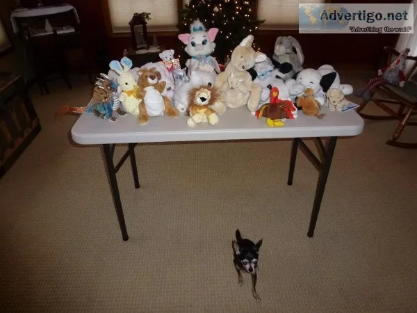 PLUSH ANIMALS