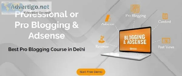 Blogging course in Delhi