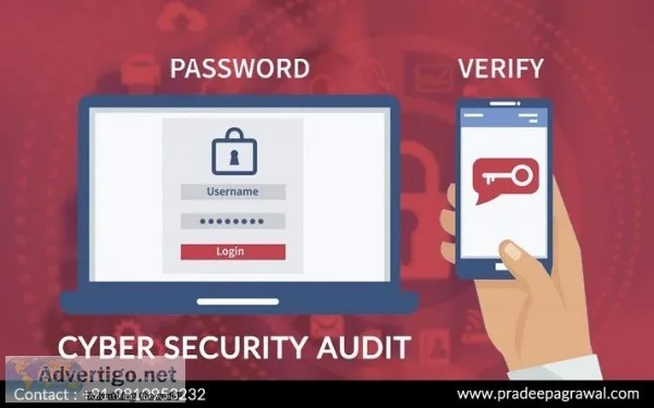Cyber Security Audit