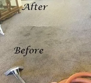 99 CARPET CLEANING SPECIAL