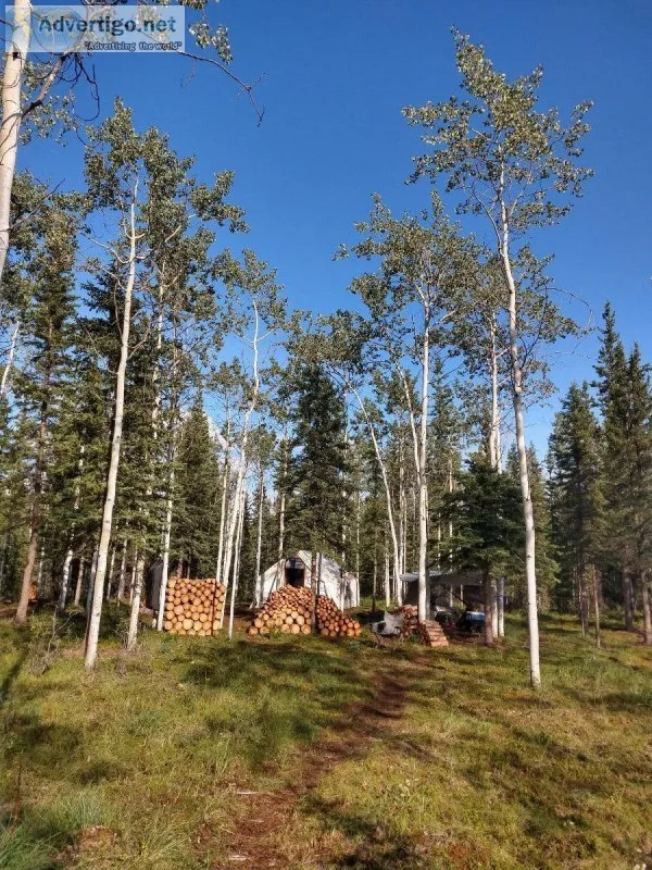 Alaska land and small structure