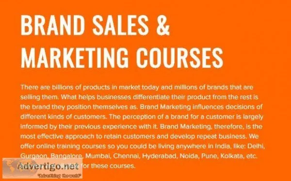 Integrated Marketing