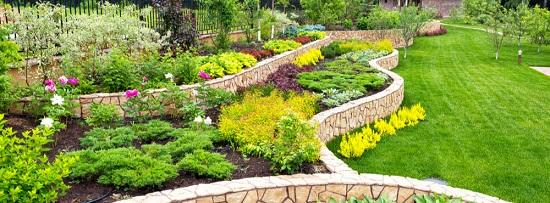 Specialists for Landscaping Services in Maple Ridge