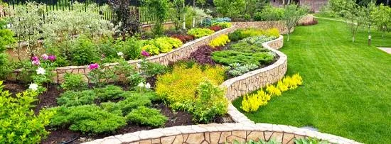 Specialists for Landscaping Services in Maple Ridge