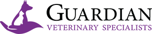 Best Veterinary Hospital USA