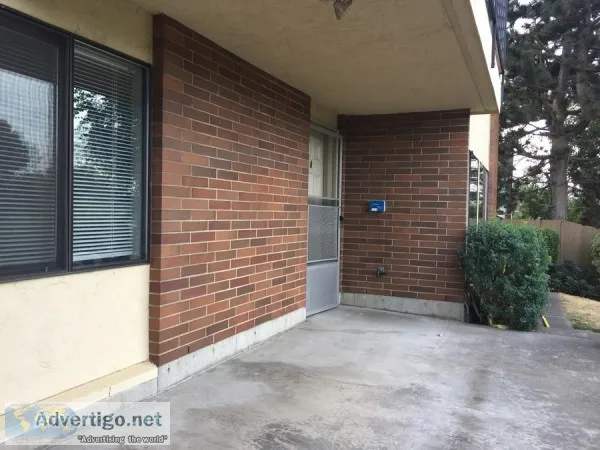A Comfortable Fully remodeled brand new look apartment for rent