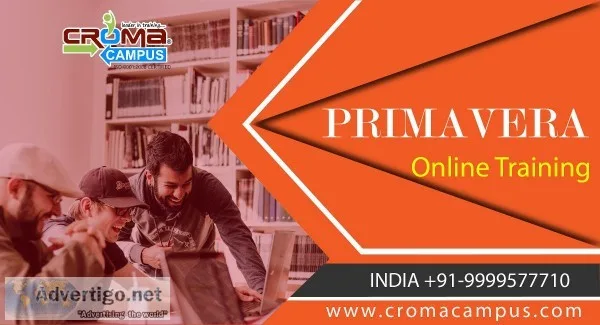 Primavera Online Training