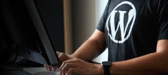 Freelance Wordpress Theme Development- Vinni Arora