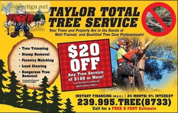 TREE SERVICE- REMOVALS- TRIMMING- LOT CLEARING- and EVERYTHING I