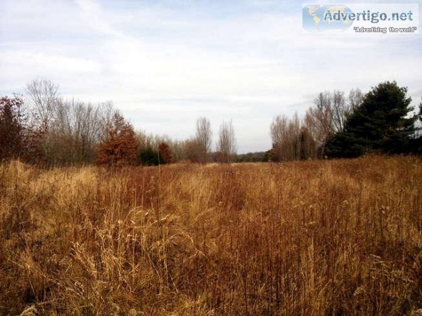 17 Acres vacant land 4 sale with all mineral rights a monthly ro