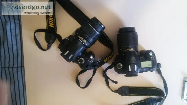 Nikon Digital Cameras   D50 D40