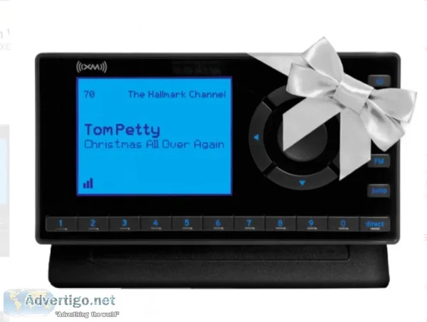 SiriusXM Onyz EZ Radio w Vehicle Kit For Sale