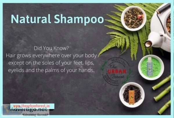 Natural Shampoo