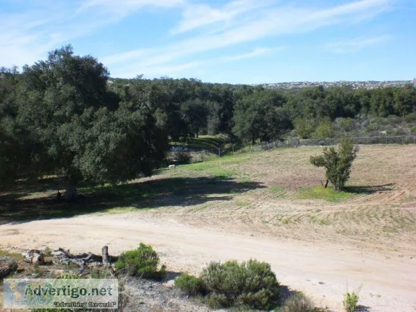 FOR SALE - BEAUTIFUL OAK RANCH TREE IN BAJA