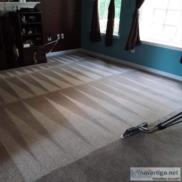 Professional carpet cleaning service