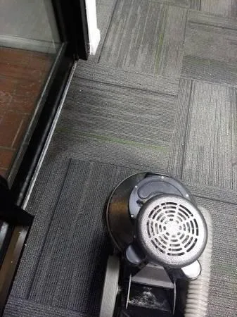 Professional carpet cleaning andClean Master