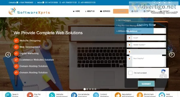 Website Designing Company in Delhi  SEO Services in Delhi