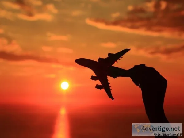 Any Airlines Flight Booking Service Cheap Price