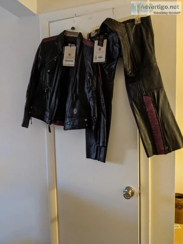Brand New with Tags Harley Davidson Women s Leather Jacket and C
