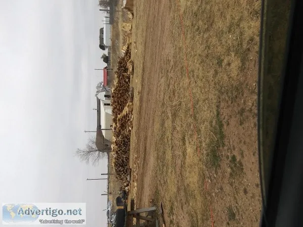 Firewood