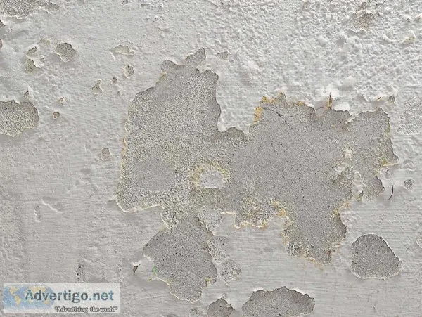 Wall seepage waterproofing solutions  Wall seepage repair