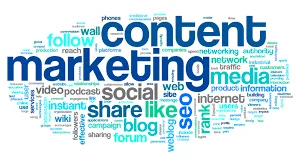 Need a content for a website or an article