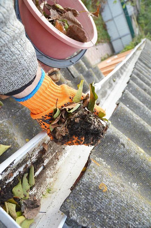 Gutters cleaning