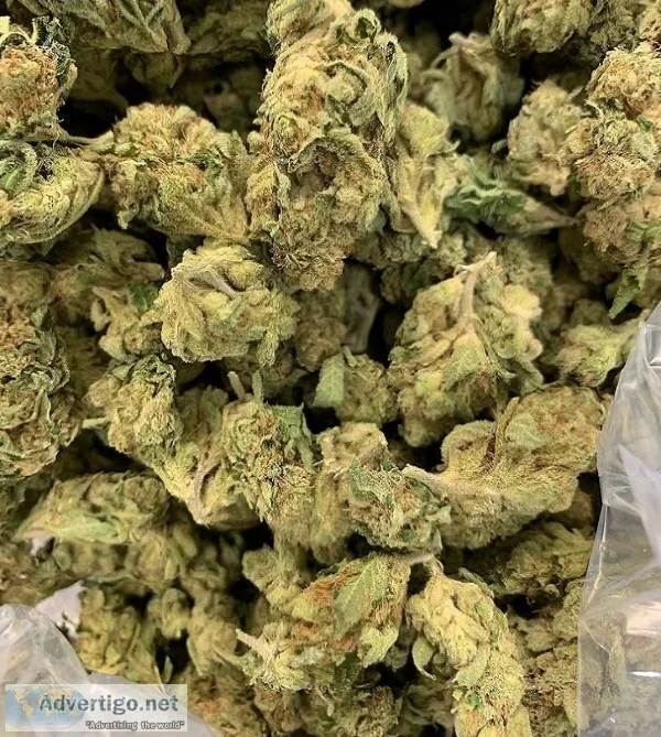 well medicated mari juana