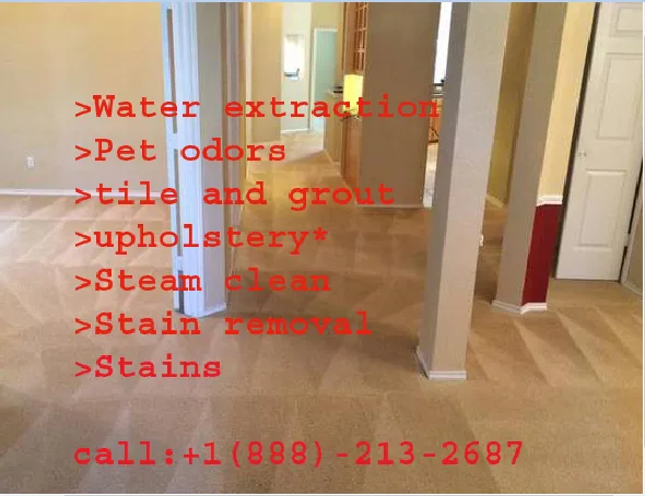 Outstanding Carpet Cleaning Services in Columbia