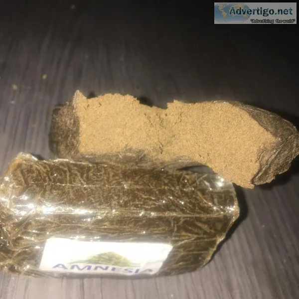 Get connected to Calis top plug