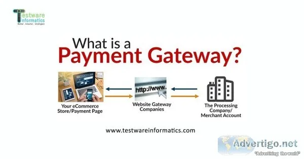 Ecommerce services_Testware Informatics