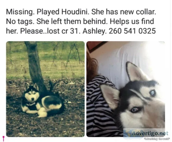 Lost loved one