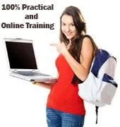 Best SEO Training Institute in Meerut