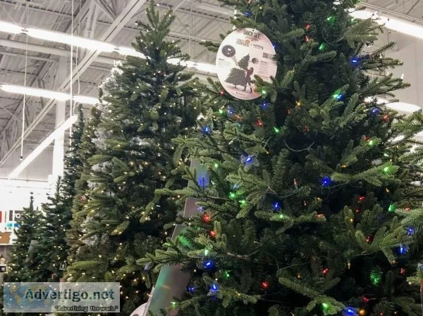 Classic Pine Full Pre-lit Christmas Tree 6.5  With Clear Lights 