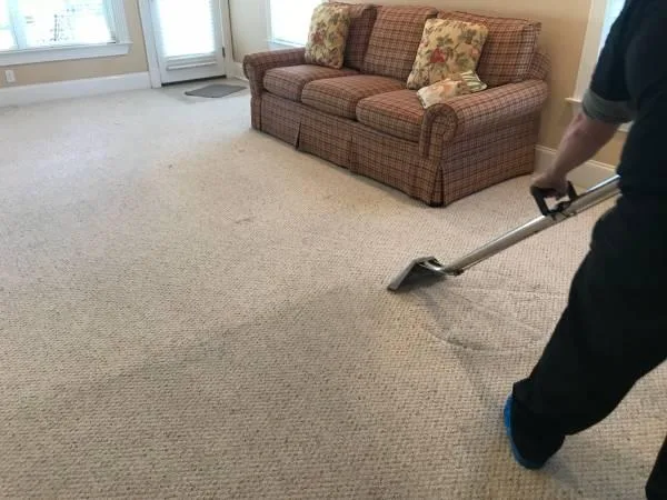 Professional carpet cleaning