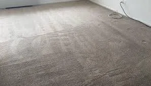 Truck Mounted Carpet Tile and Upholstery Cleaning