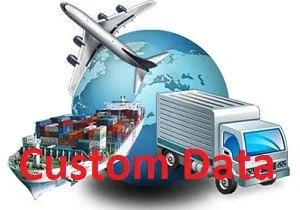 Get a 100% genuine Custom Data