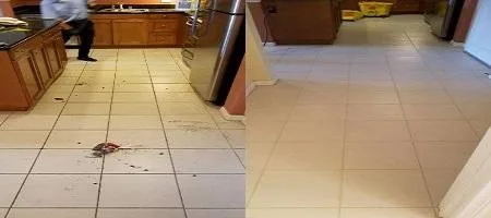 Carpet Cleaning service
