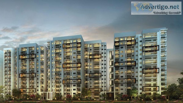 Raintree Boulevard Luxury Apartments in Hebbal Bangalore by Land